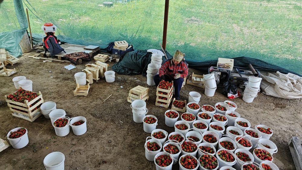 Продам землю  с готовым бизнесом