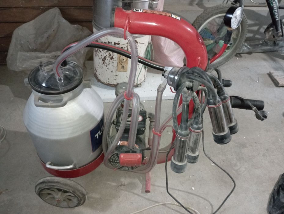 Qizning iflos külotlaridagi porno