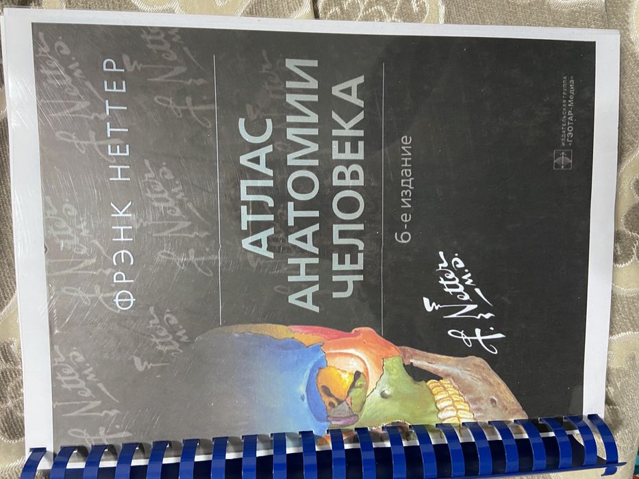 Атлас анатомии человека Неттер