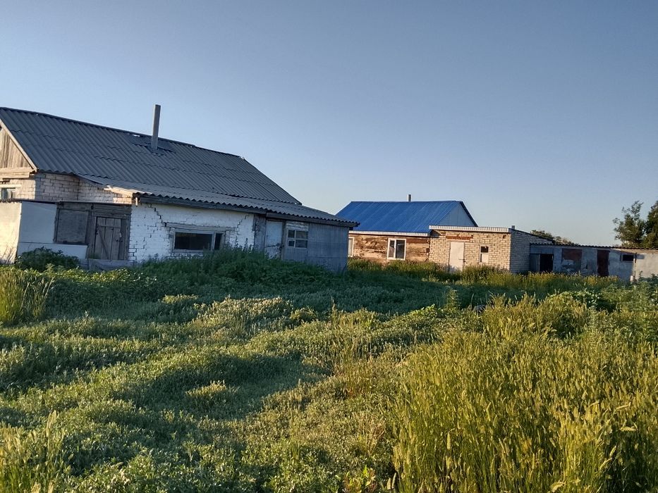 Продам крестьянское хозяйство