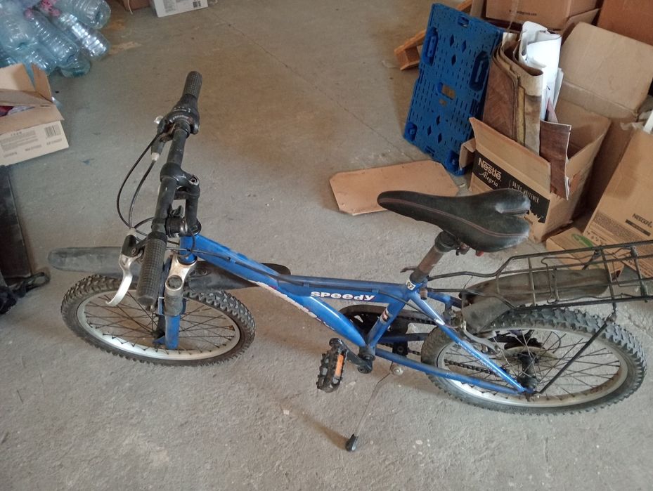 Bicicleta Speedy crosswave