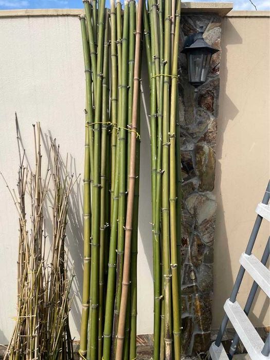 Araci/pari de bambus