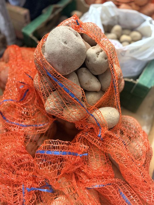 Cartofi BIO de vânzare – 2,5 lei/kg