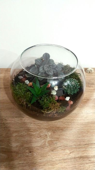 Мини екосистеми - естествени и изкуствени