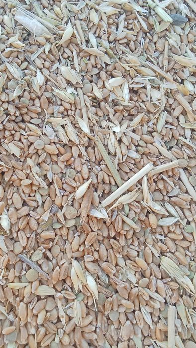 Зерноотходы хорошего качества