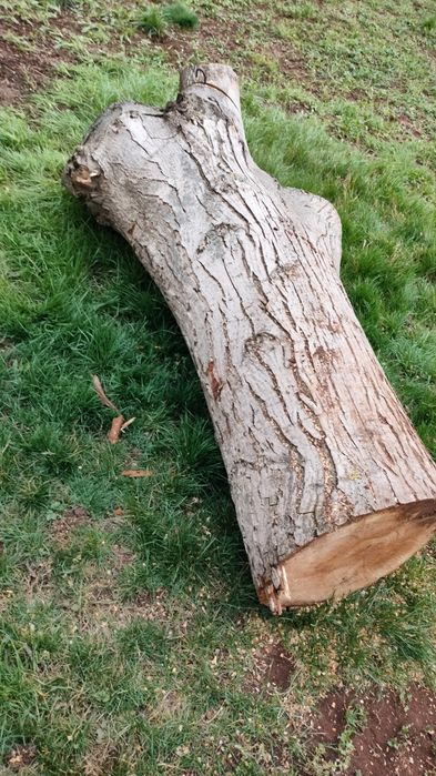 Продавам Орех за материал