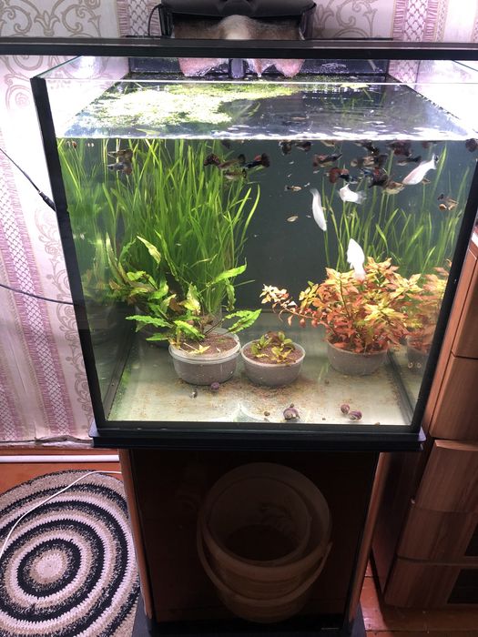 Аквариум продам ,