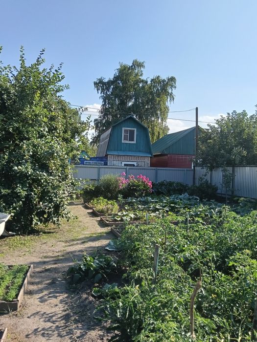 Продам дачу в Солнечном(Новопавловка) 3 сотки