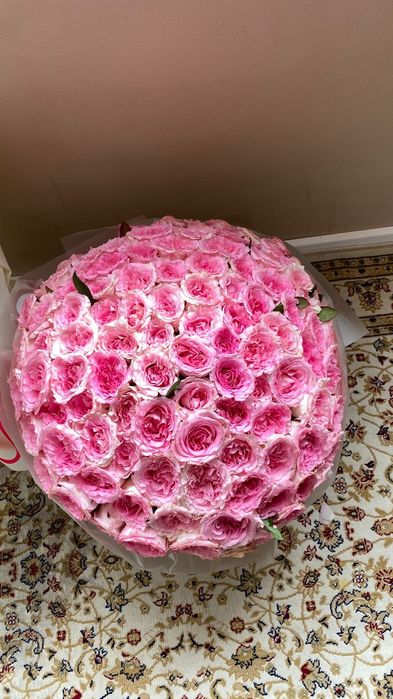 Цветы продам дёшево