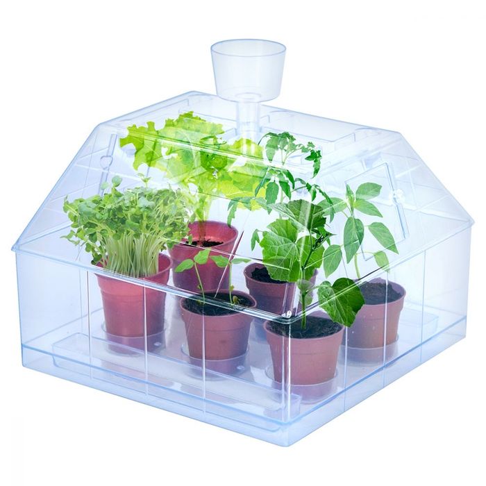 Sera Gradinita de legume Gasca Zurli