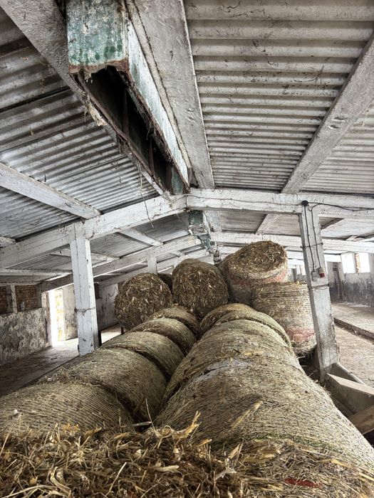 Vand baloti de tulheni