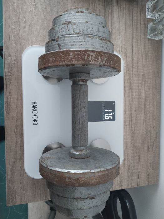 Гантели разборные