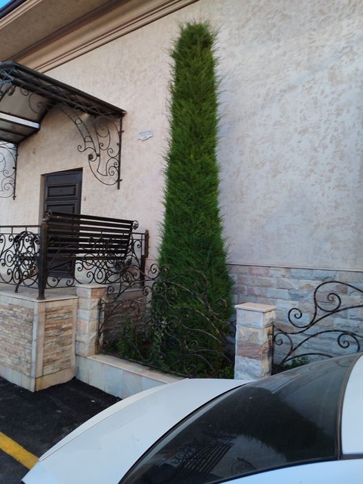 Арча кесиш ва дорилаш хизмати