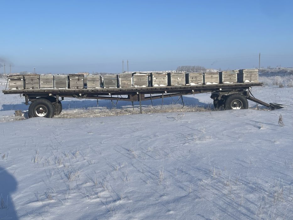 Прицеп пчеловодческий с уликами