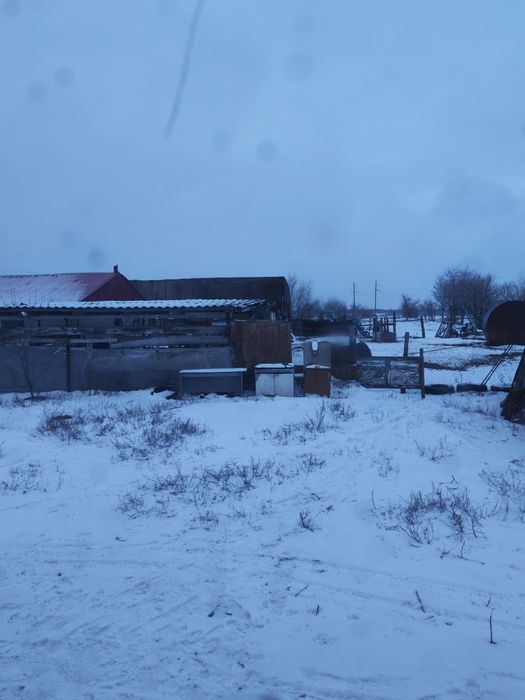 Аренда фазенды под откорм КРС