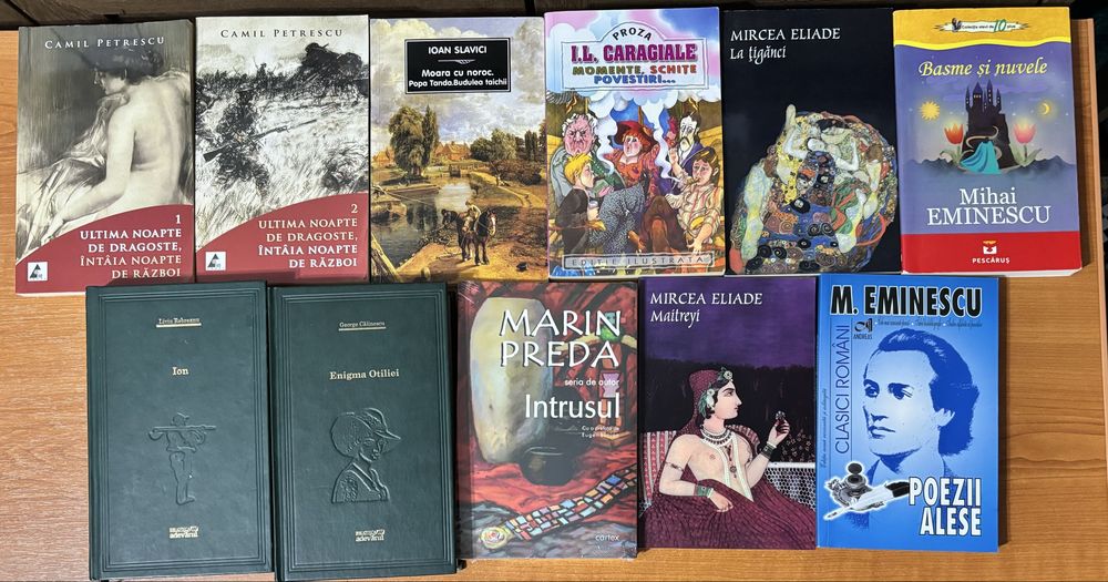 Pachet 11 Cărți Lectură BAC / Gimnaziu – Stare Bună (+1 Nouă)
