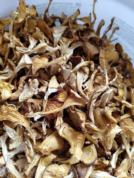 Грибы лисички свежемороженые