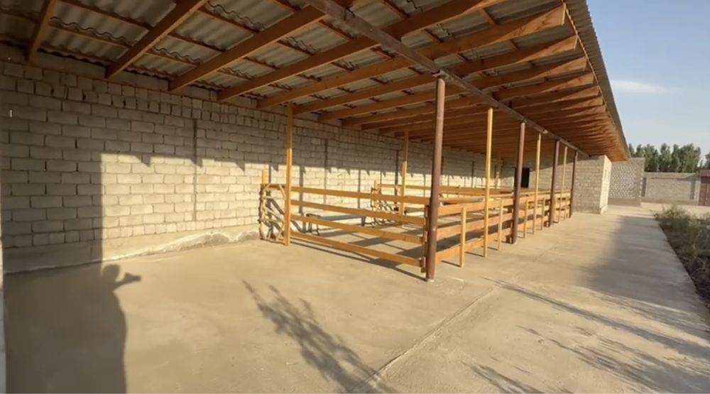 “UY VA FERMA SOTILADI — darhol ish boshlaysiz!”