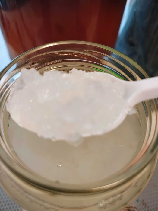 Chefir de lapte ciuperca tibetană kefir apa Kombucha