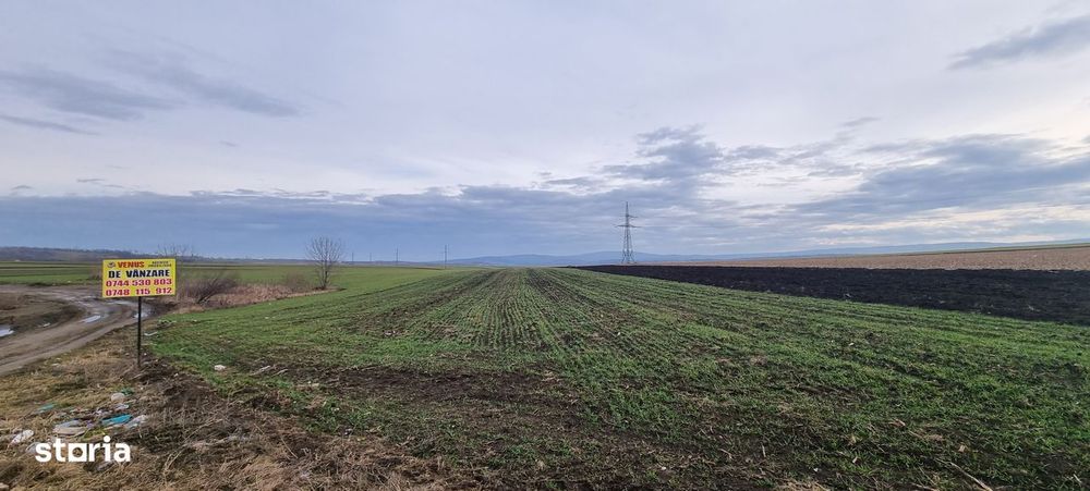 Teren zona Zaicesti la strada
