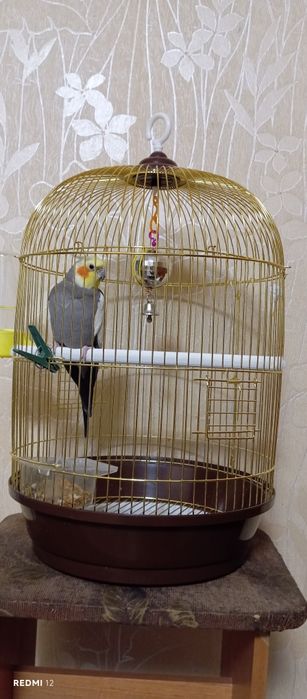 Продам клетку для птиц