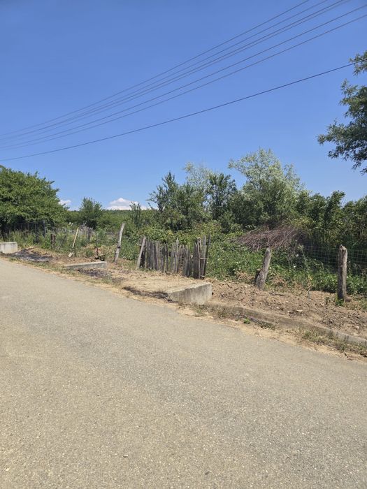 Casa cu teren + al doilea teren, Musetesti, Gorj