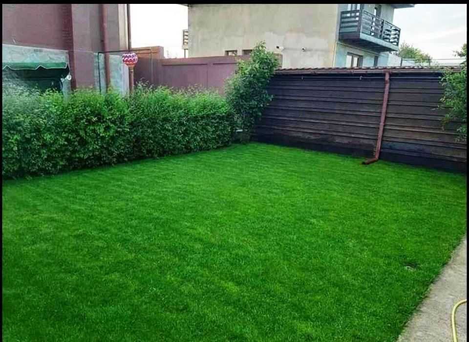 Gazon Rulou Premium pe stoc, Verde Crud - Craiova Dedeman - 29 Lei Mp