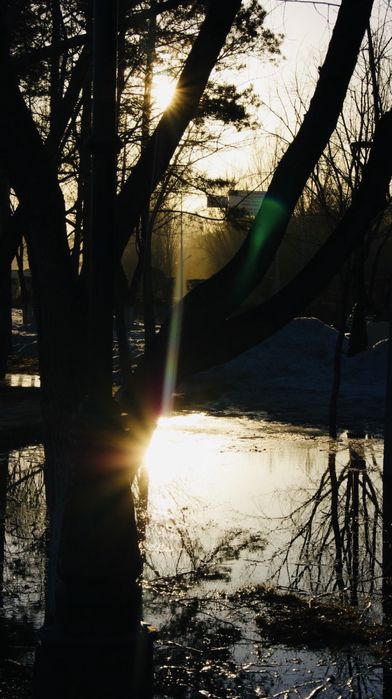 Фотоаппарат Sony Alpha 290