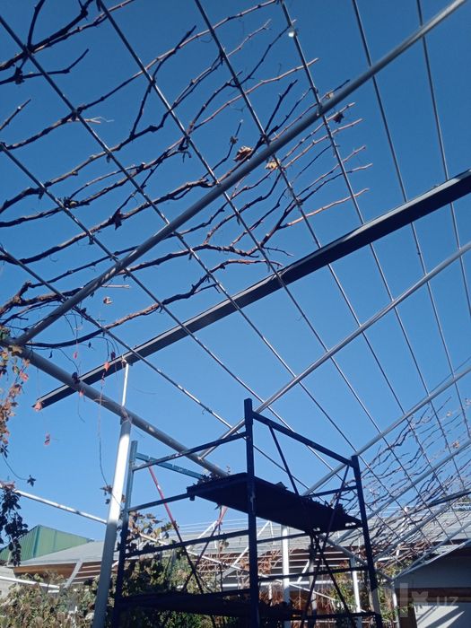 Sadovnik bogbon tok kesish archa gazon xizmati