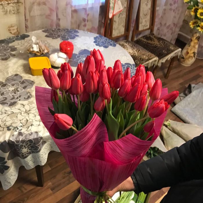 Крупный ТЮЛЬПАН Предзаказ