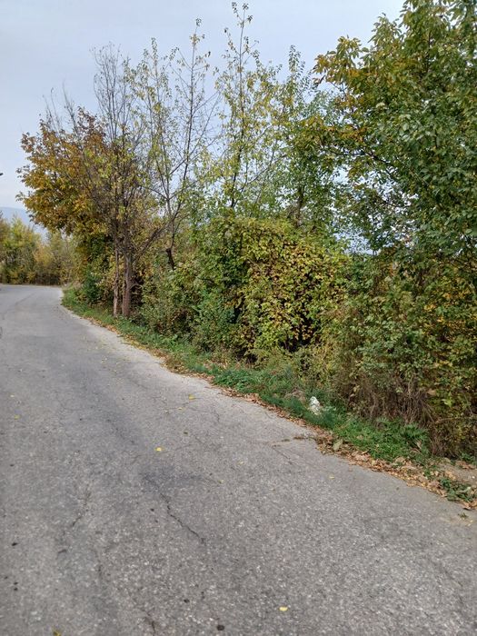 Продава се Парцел в Кюстендил, Център - 1000 кв.м за 50 €/кв.м - Снимка #2