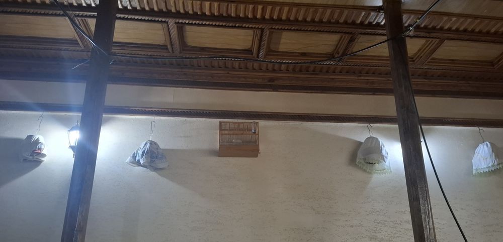 Сайроки БЕДАНАЛАР сотилади