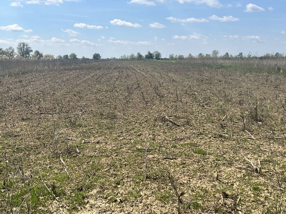 Teren agricol Slobozia Moară 8544 mp acces la drum asfaltat si la 1 km de DN7