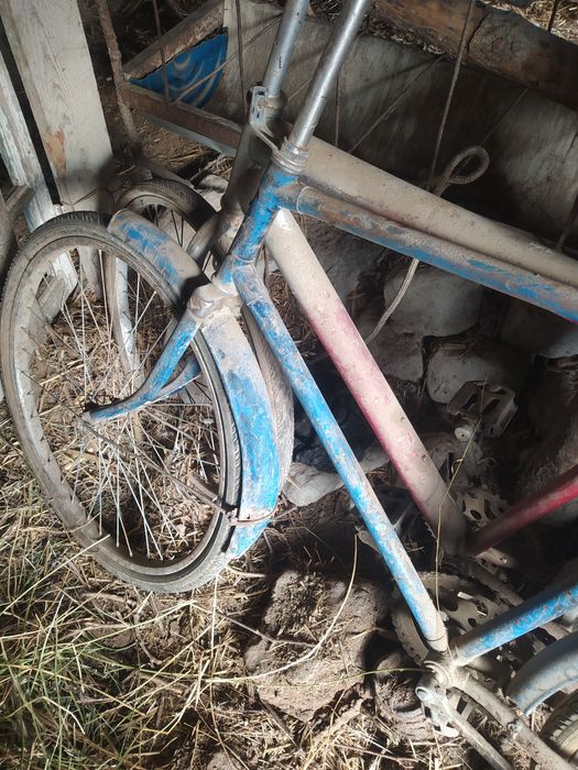 26velasped ekoviyam narmanle holatta