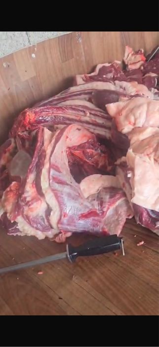 Жылқы еті, конина 2950тг кг