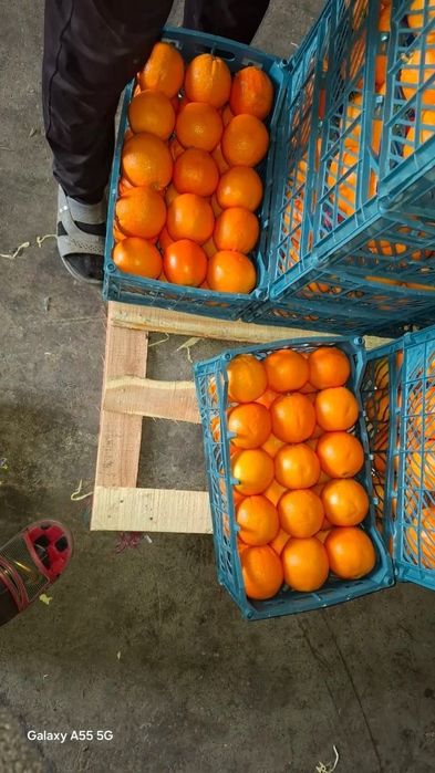 Эрондан киви олма мандарин узотамиз энг кам битта фура