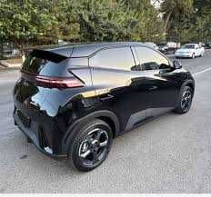 byd seagull pad zakaz