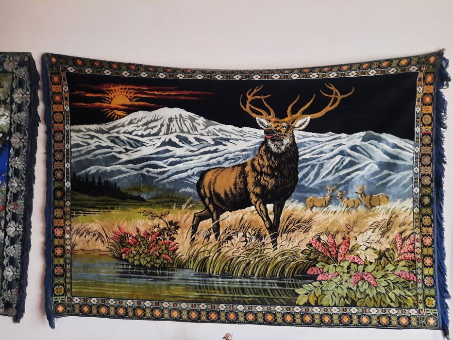 Vand carpeta perete si covoare