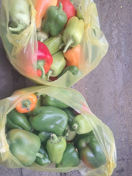 Продам домашний перец квашеная капуста баклажаны