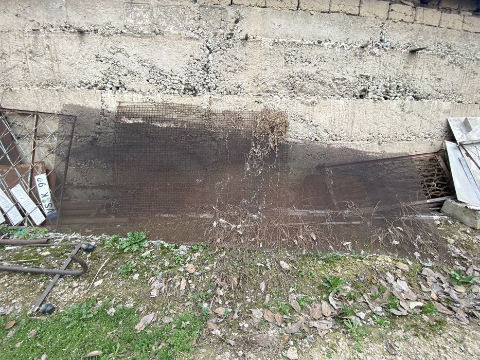 Мелкий.   Сетка