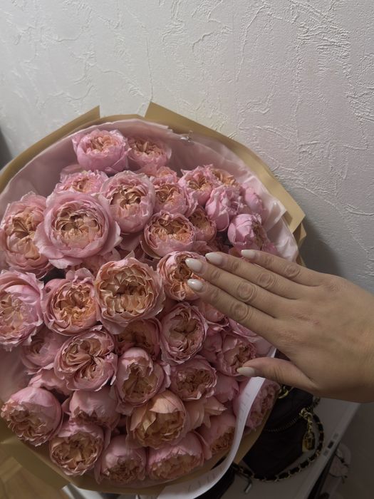 продам цветы свежие