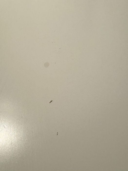 Etajere Kallax (alb, corp de 4 si de 8, cu sertare) - doar Cluj-Napoca