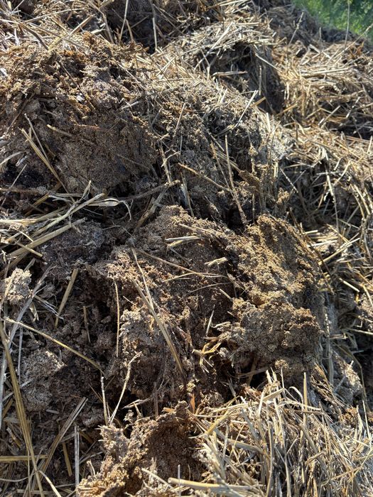 Gunoi de gaina natural fermentat pentru cradina si solar!