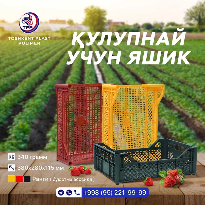 Ящик 600x400x250 мм для крупных овощей | прочный пластиковый