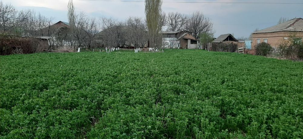 Прадается участок как дача 25.сотик