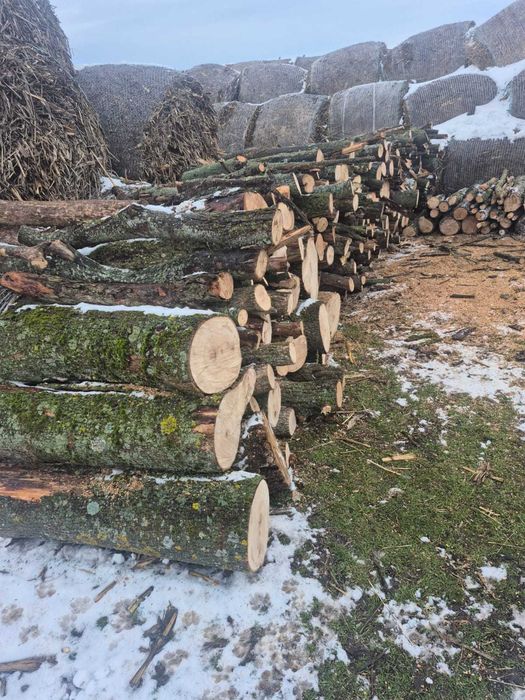 Vând lemne esenta tare și moale