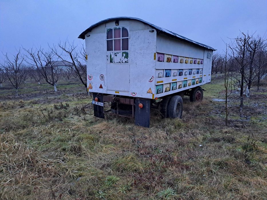 Remorcă apicolă cu 54 cutii stupi
