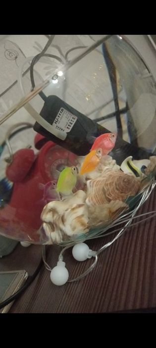 Аквариум с рыбками