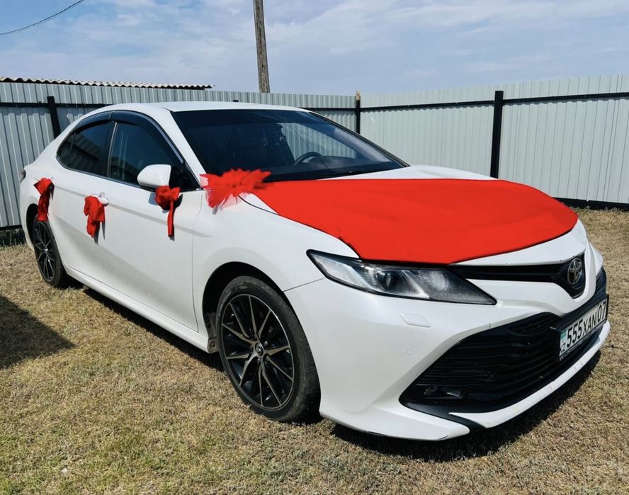 Той және Роддом машинасына оформление беріледі