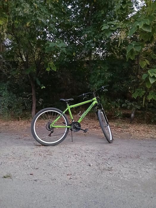 Progress Advance Disc.